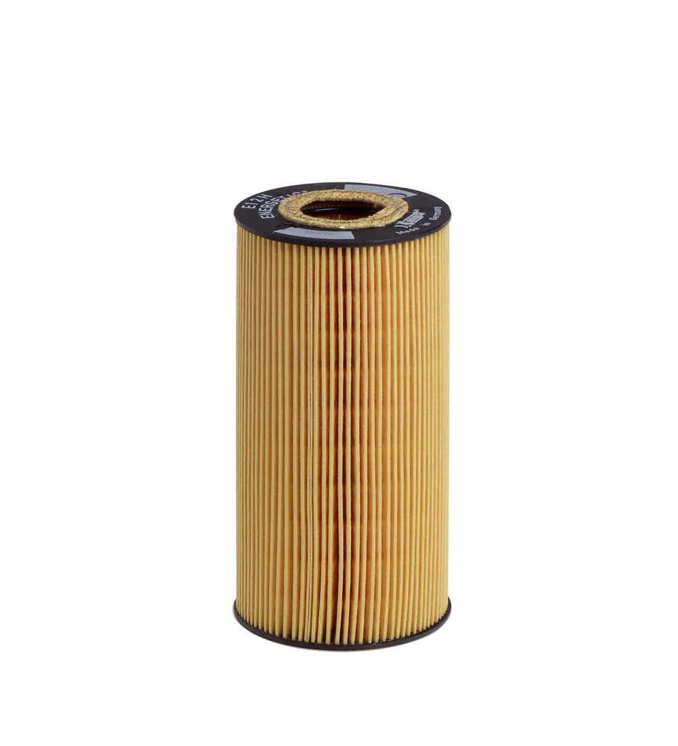 E12HD53 Hengst