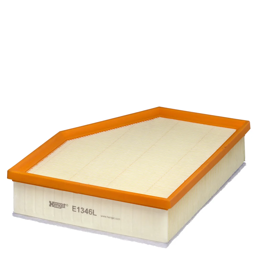 E1346L Hengst
