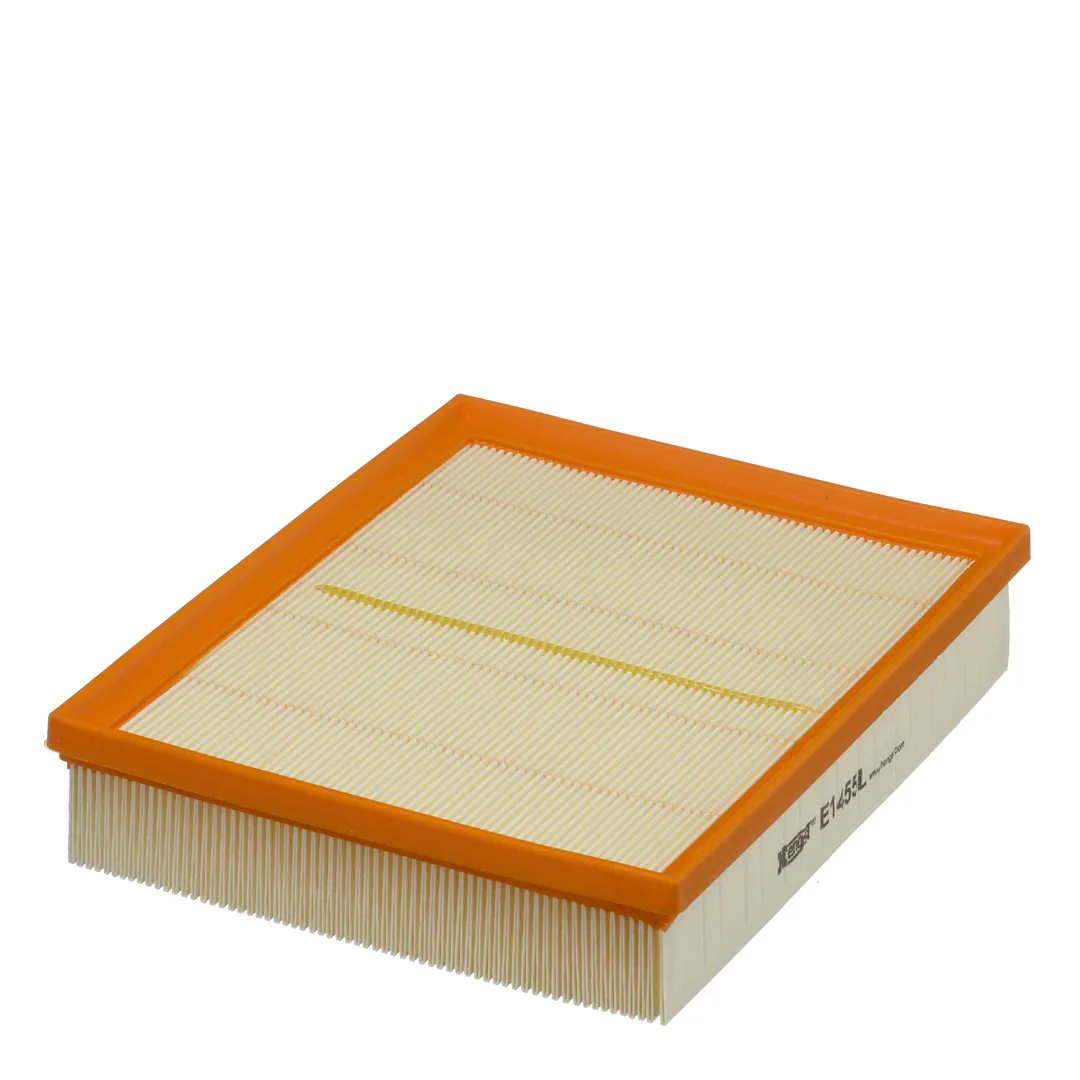 E1455L Hengst