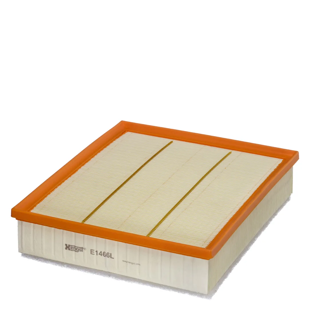 E1466L Hengst