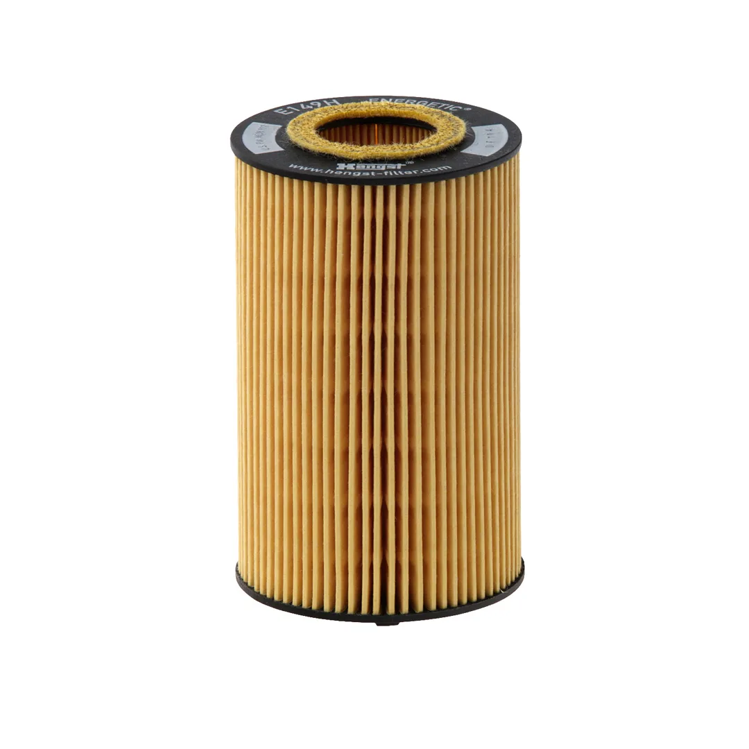 E149HD114 Hengst