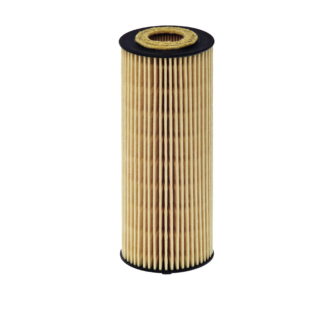 E155HD122 Hengst