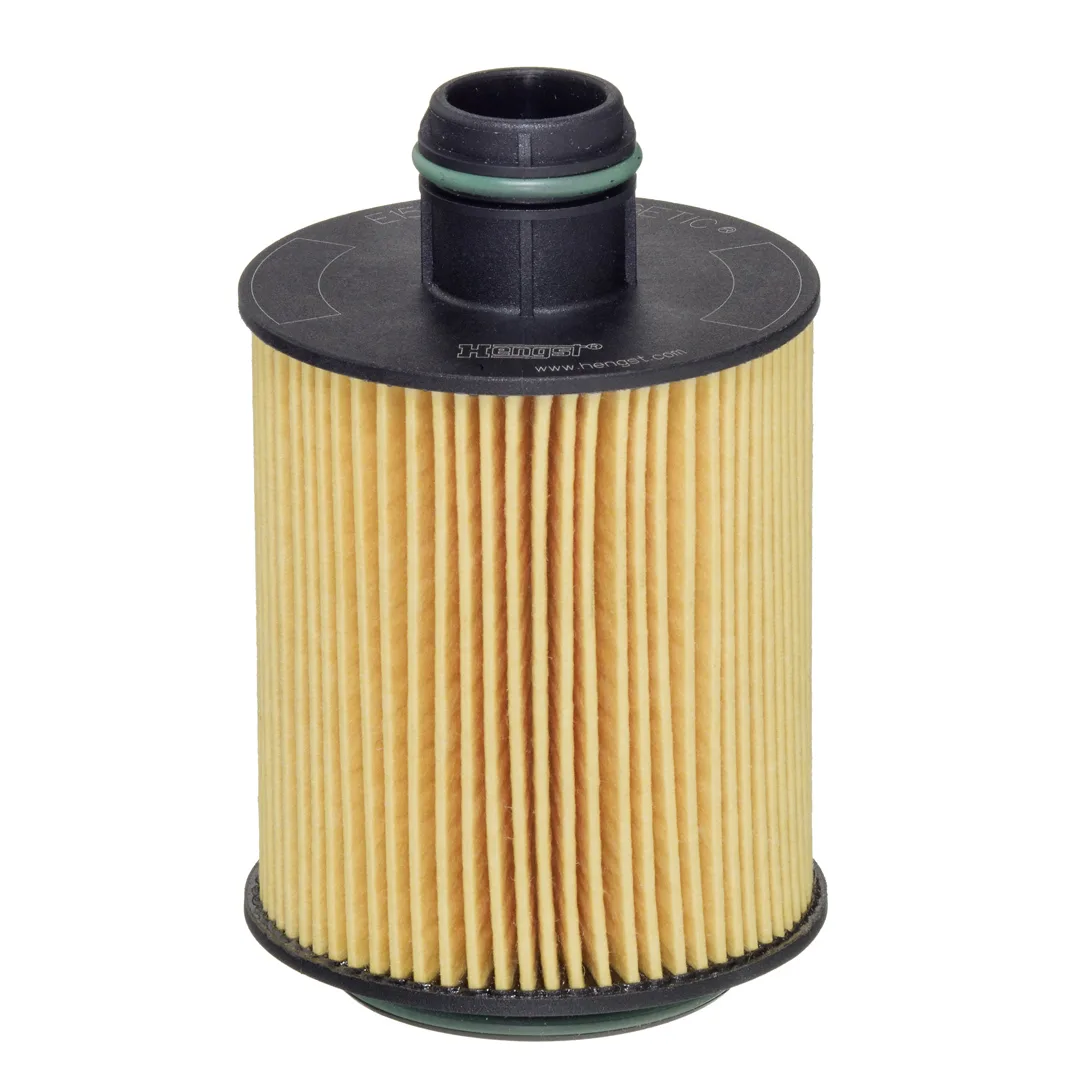 E157HD227 Hengst