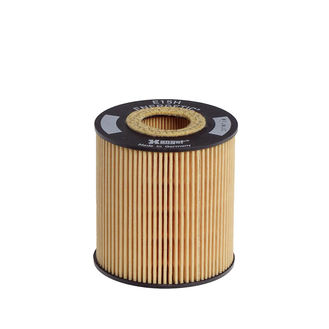 E15HD58 Hengst