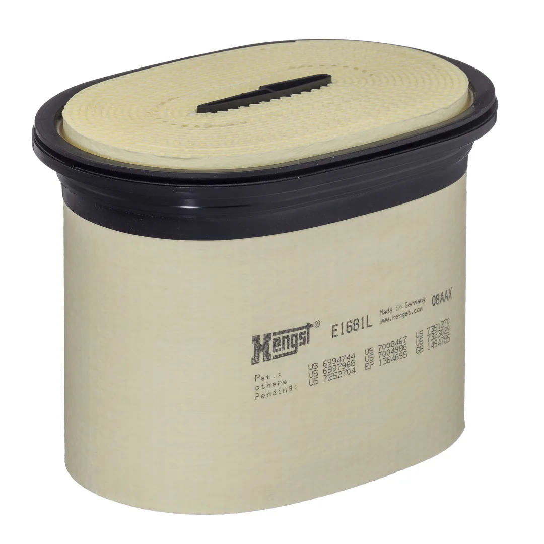 E1681L Hengst