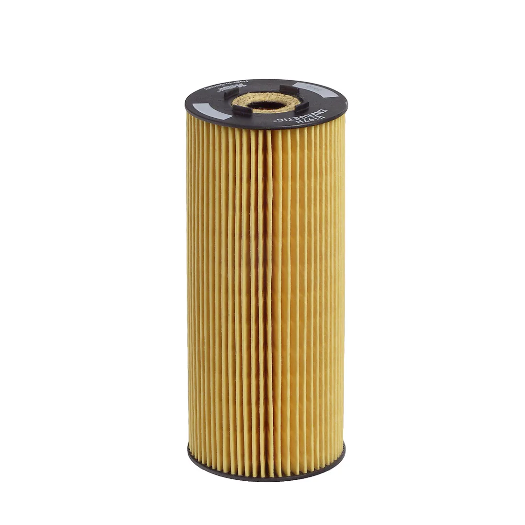 E197HD31 Hengst