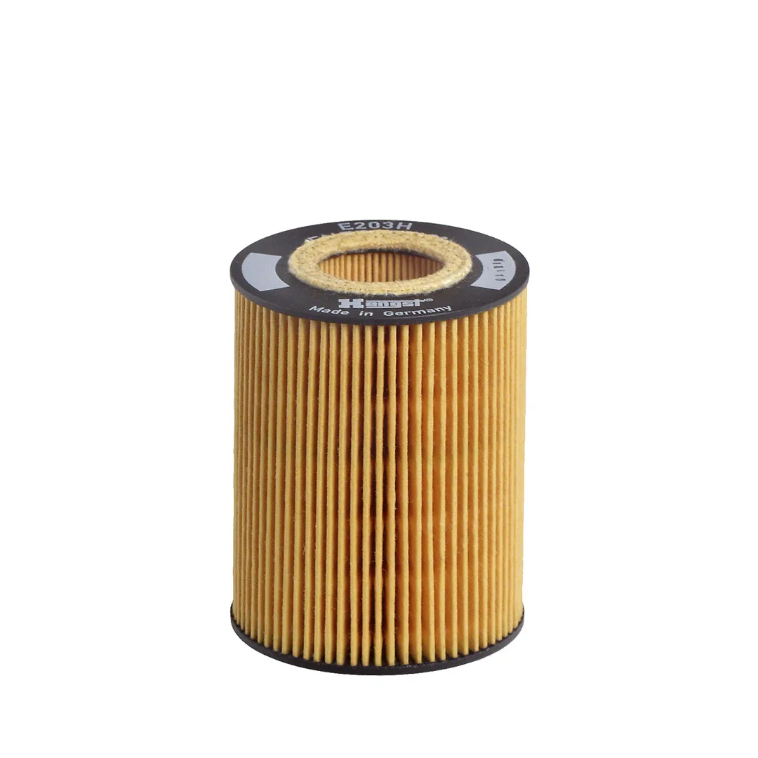 E203HD67 Hengst