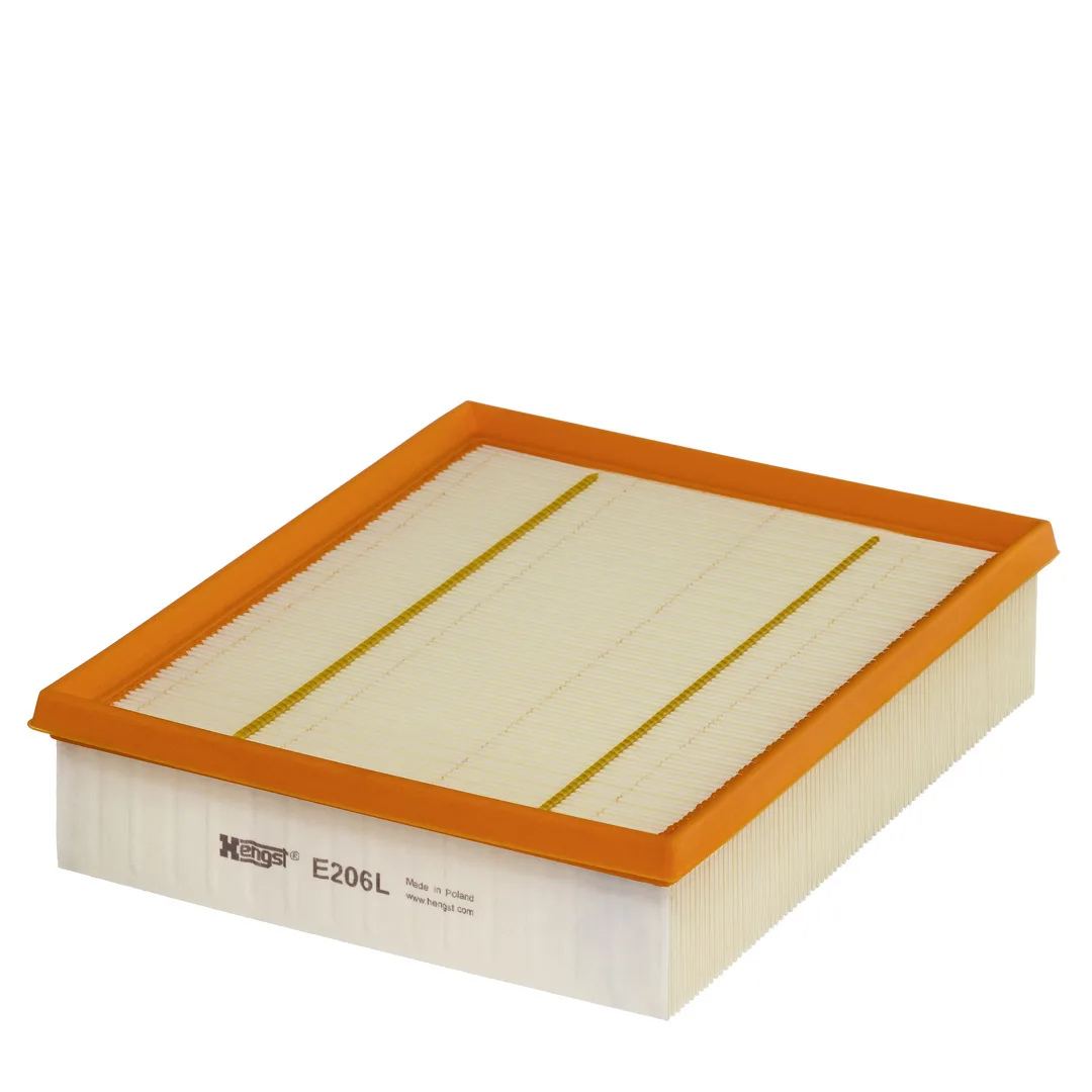 E206L Hengst