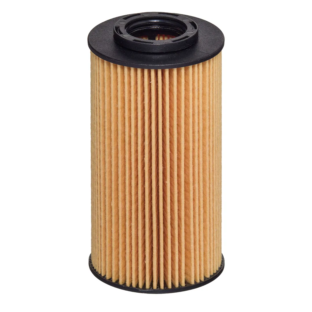 E208HD224 Hengst