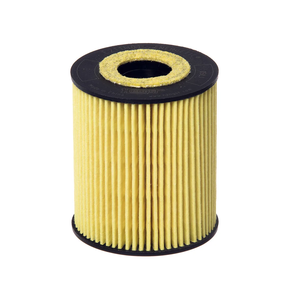 E211H01D208 Hengst