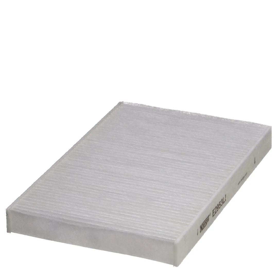 E2953LI Hengst