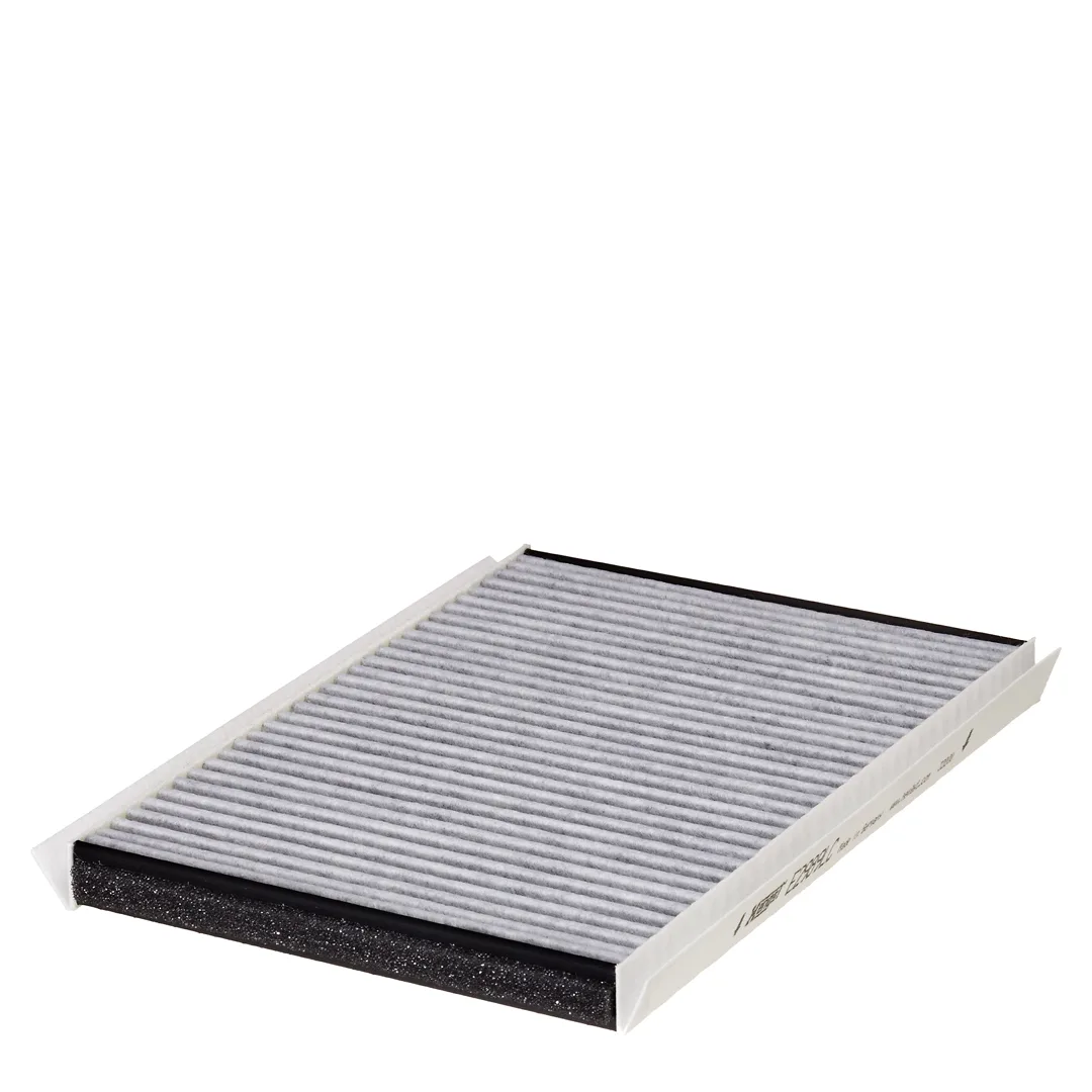 E2989LC Hengst