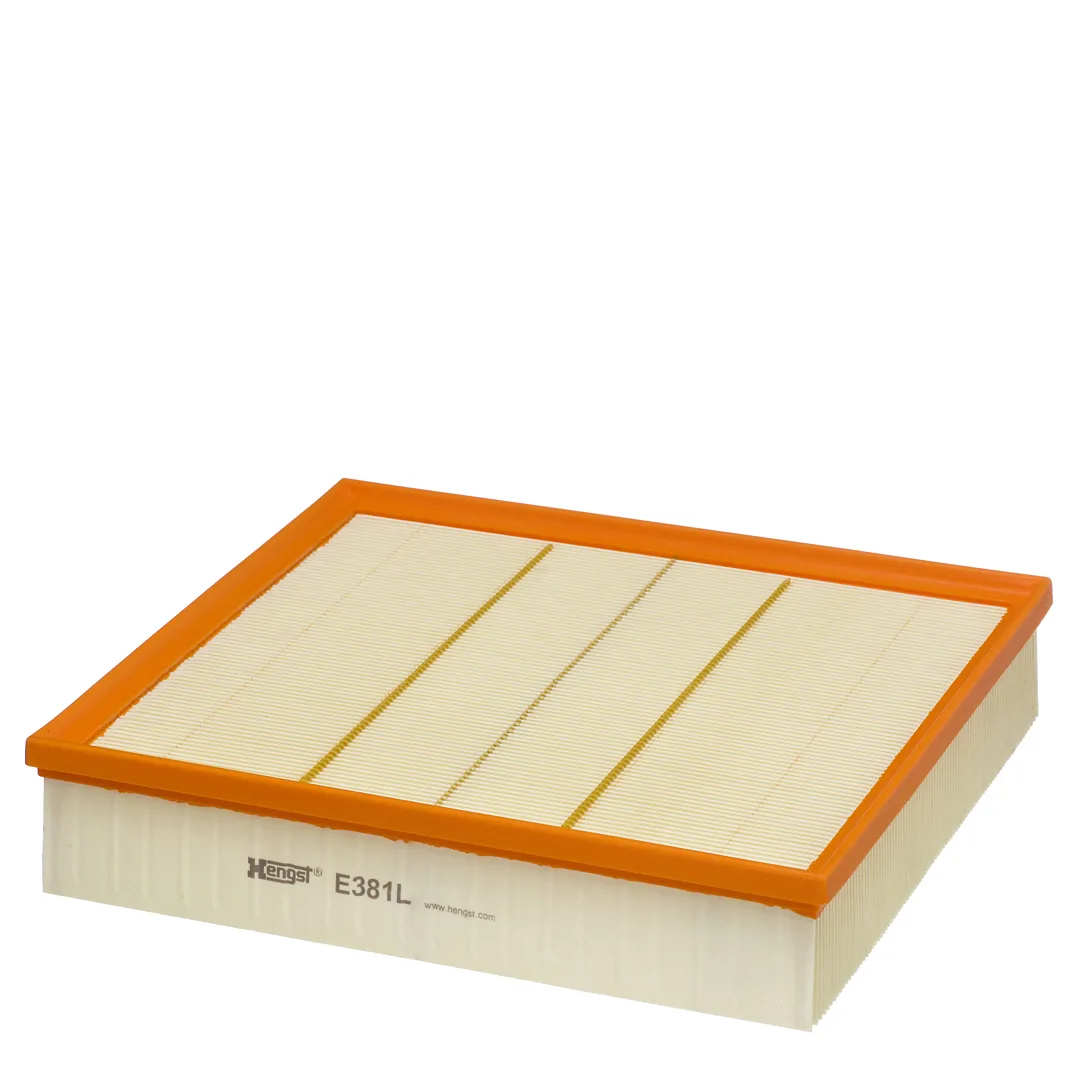 E381L Hengst