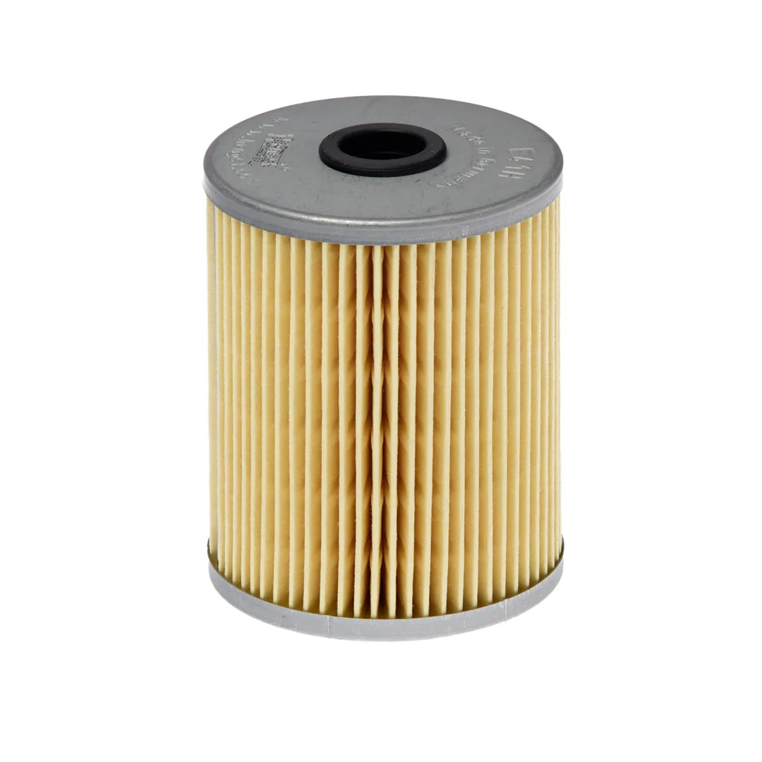 E41HD237 Hengst
