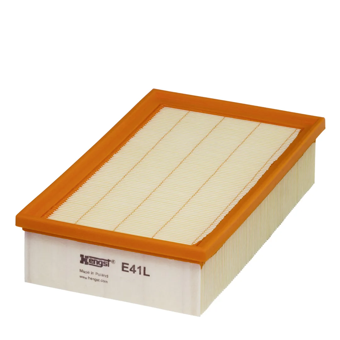 E41L Hengst