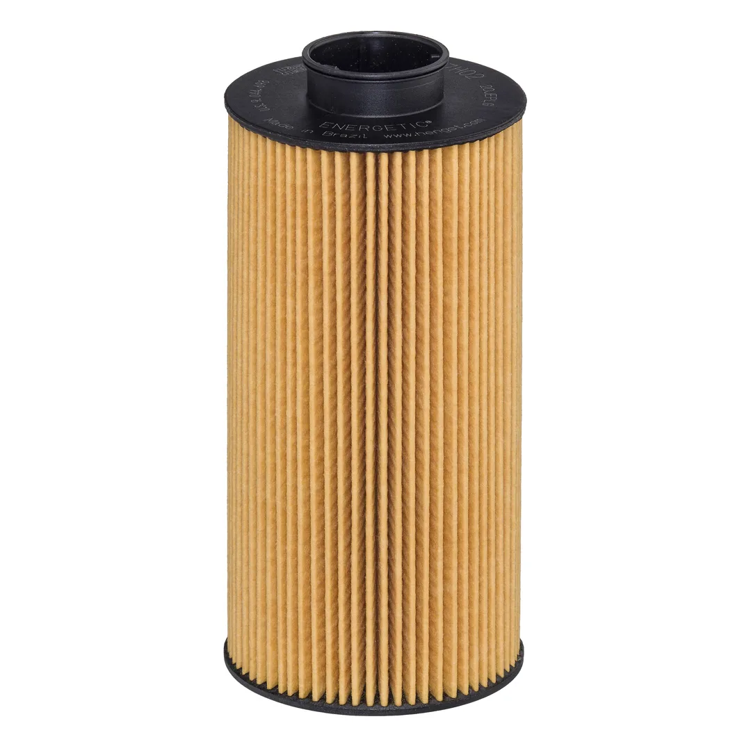 E427H02D28 Hengst