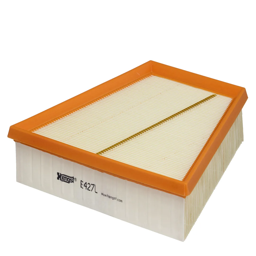 E427L Hengst