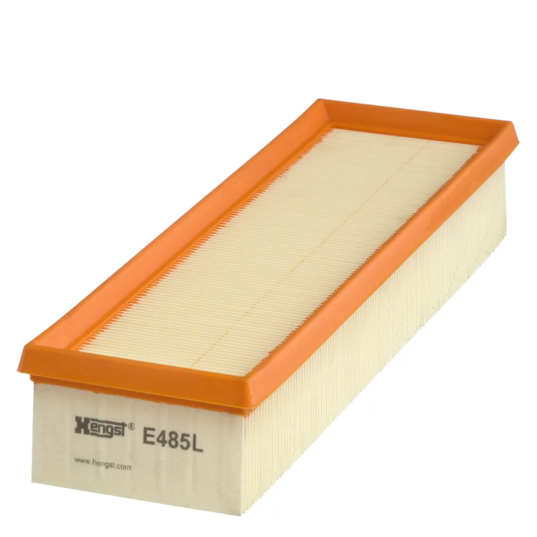 E485L Hengst
