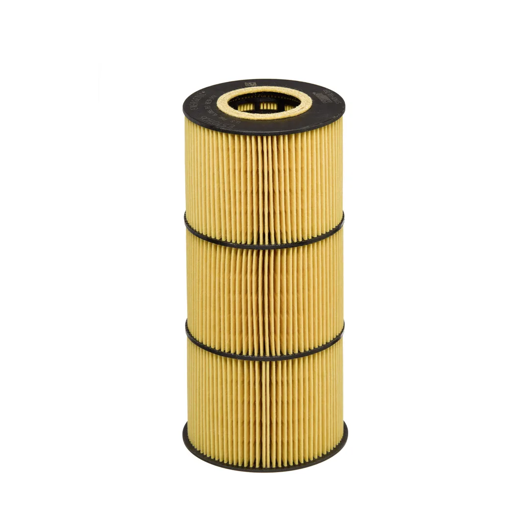 E510H07D129 Hengst