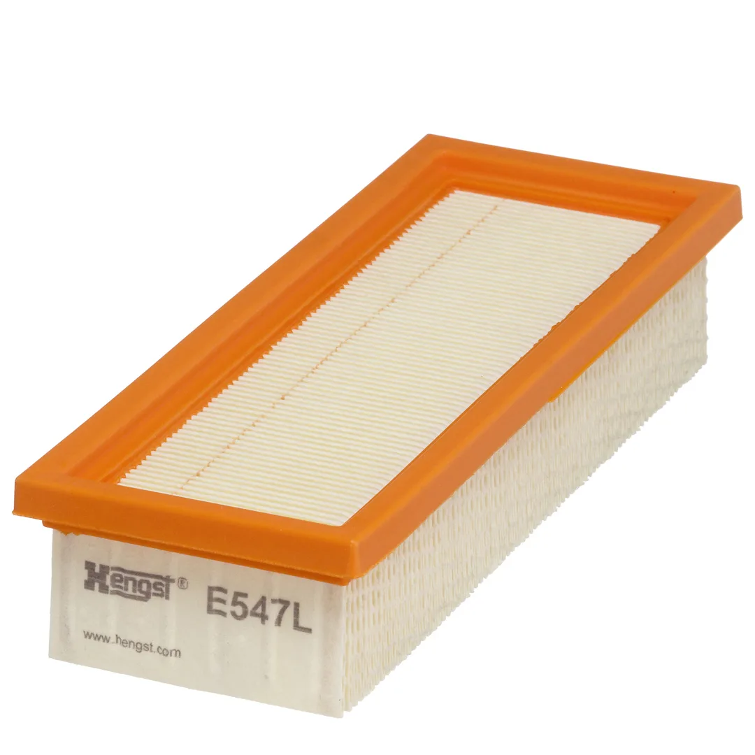 E547L Hengst