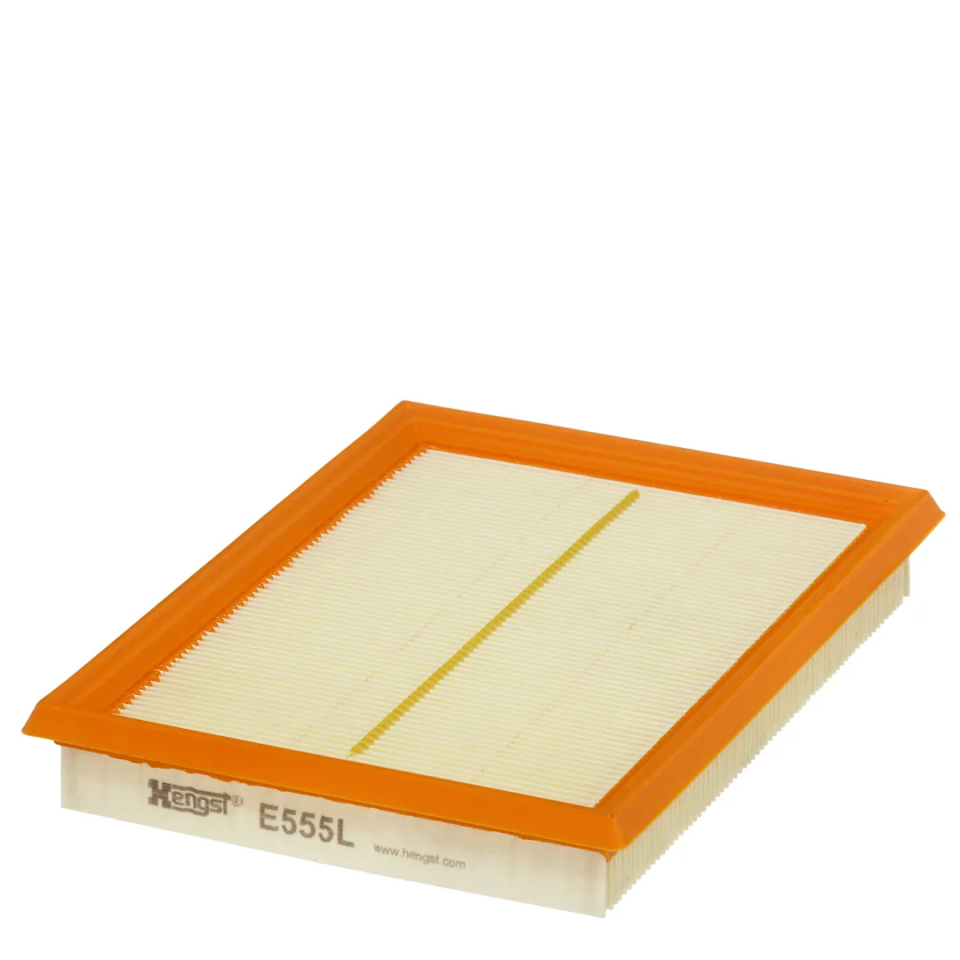 E555L Hengst