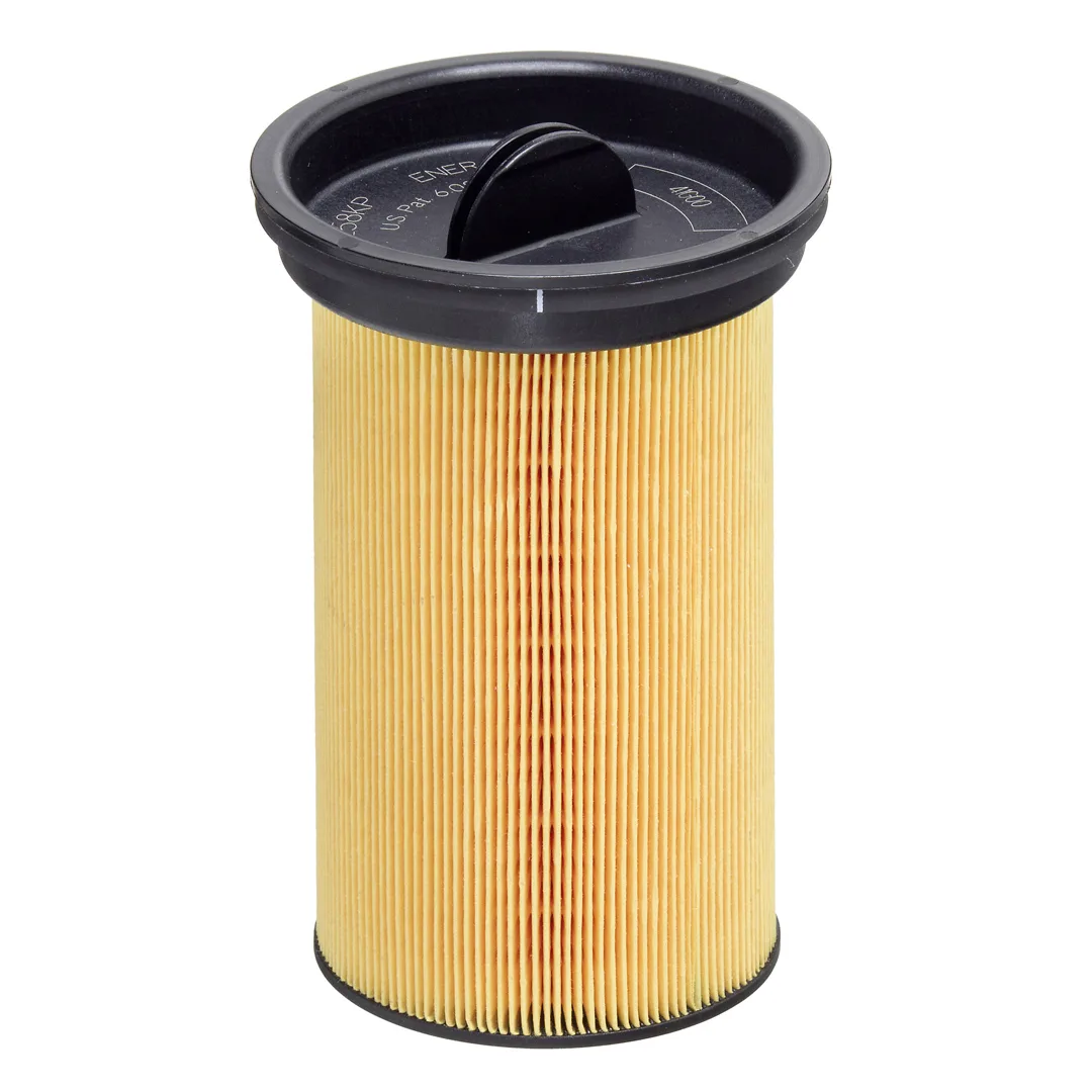 E58KP Hengst