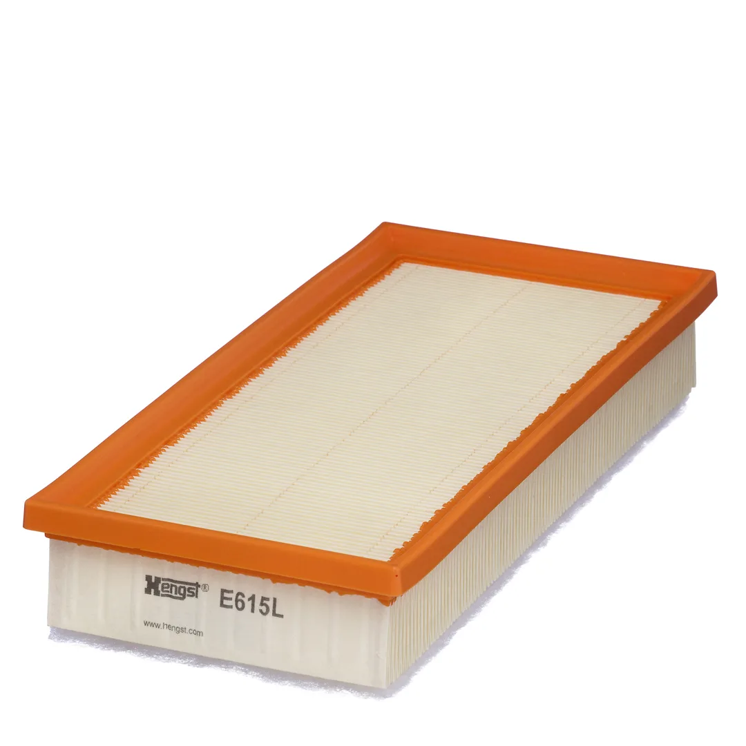 E615L Hengst