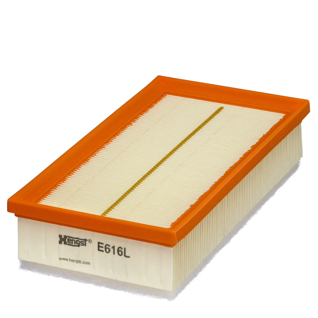 E616L Hengst