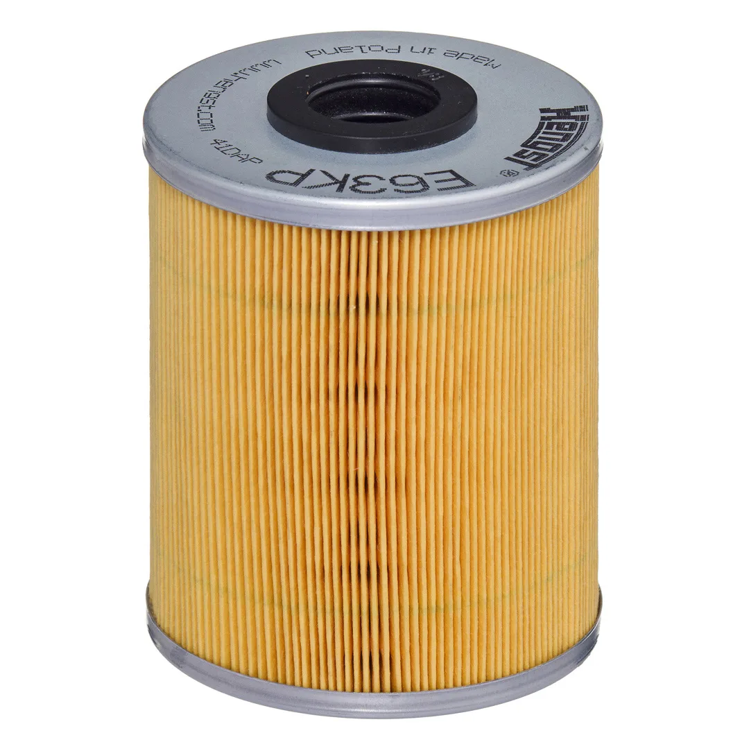 E63KPD78 Hengst