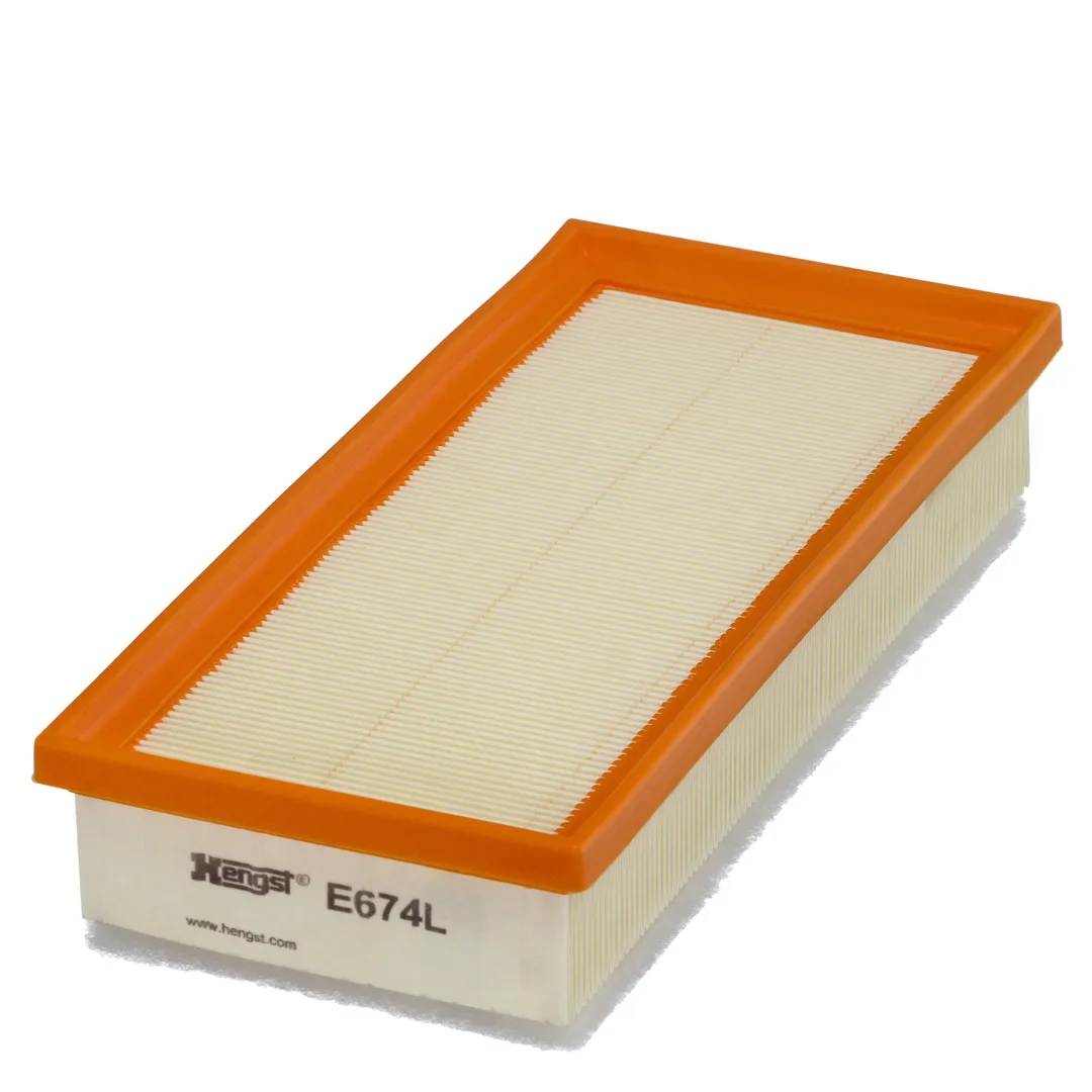 E674L Hengst