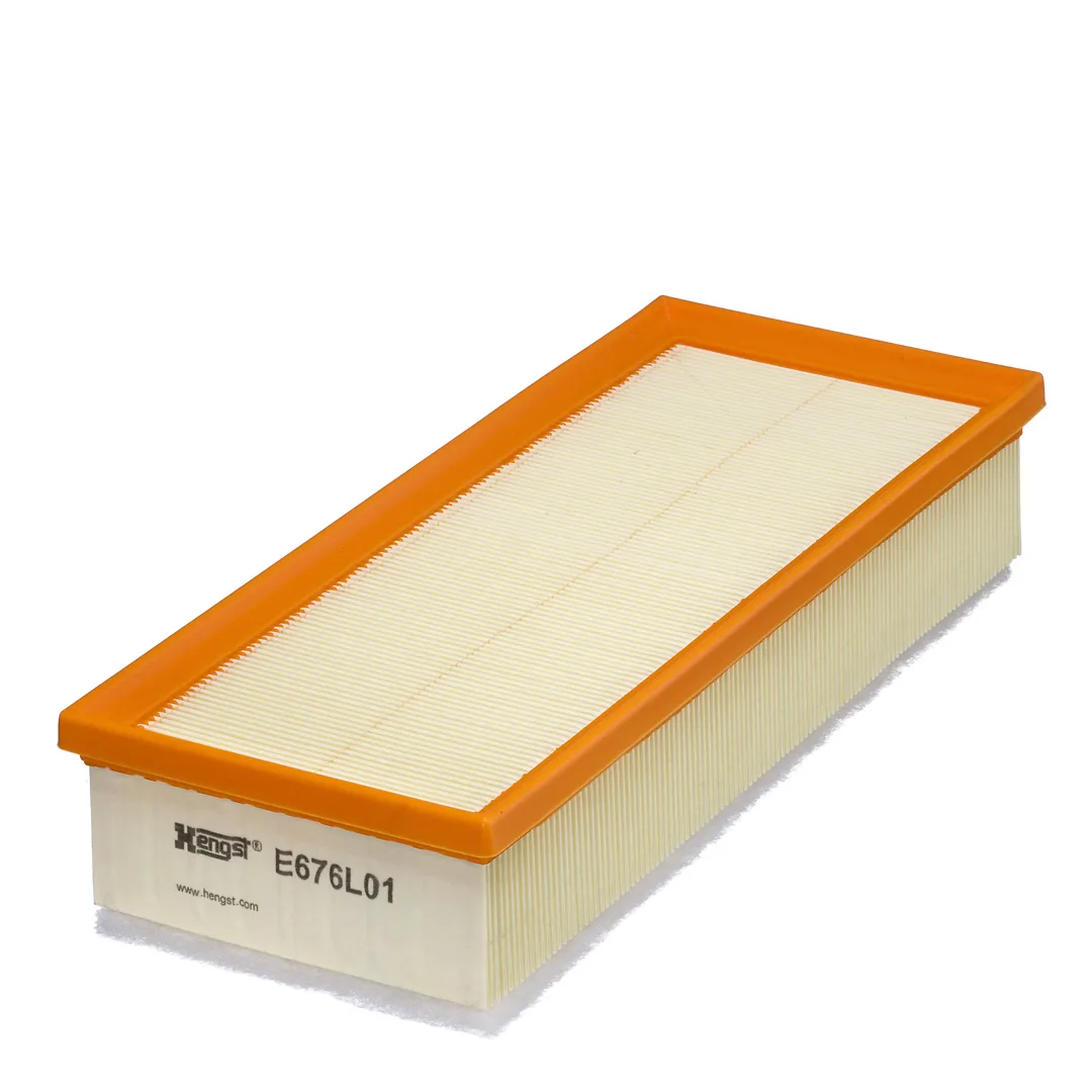 E676L01 Hengst