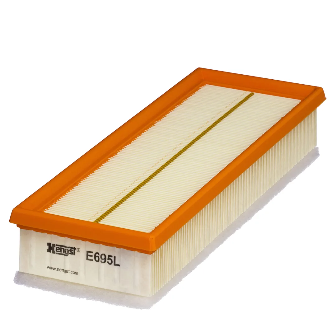 E695L Hengst