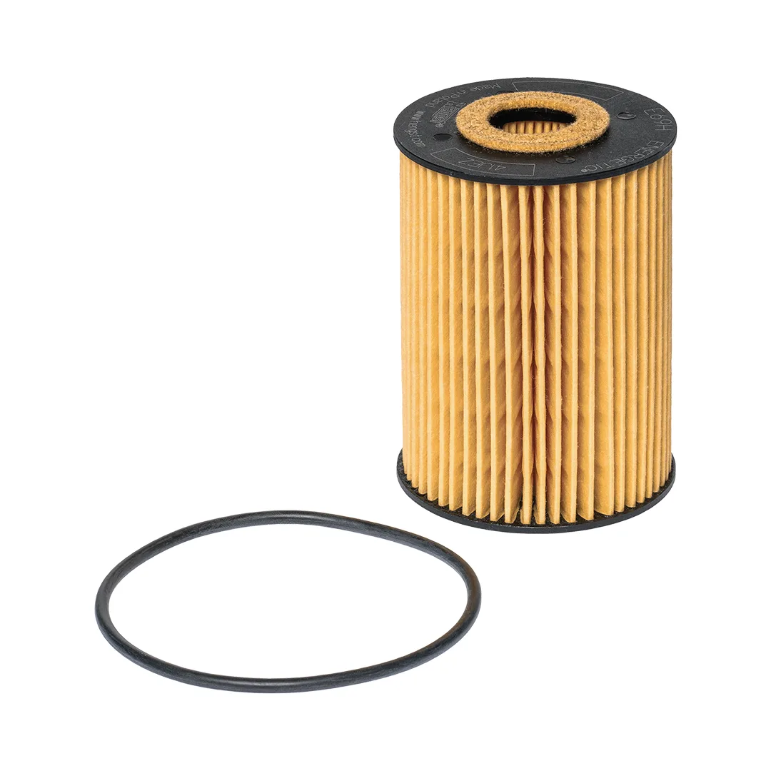 E69HD81 Hengst