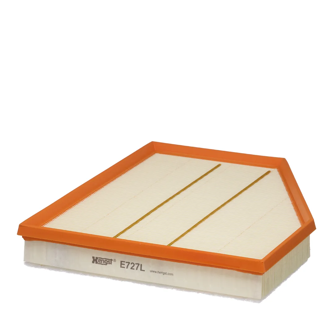 E727L Hengst