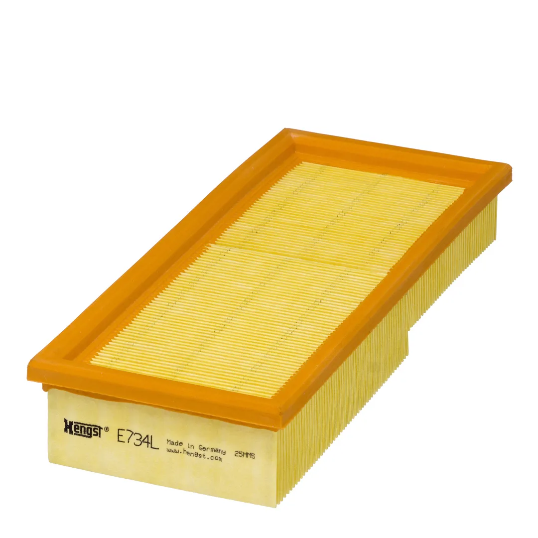 E734L Hengst