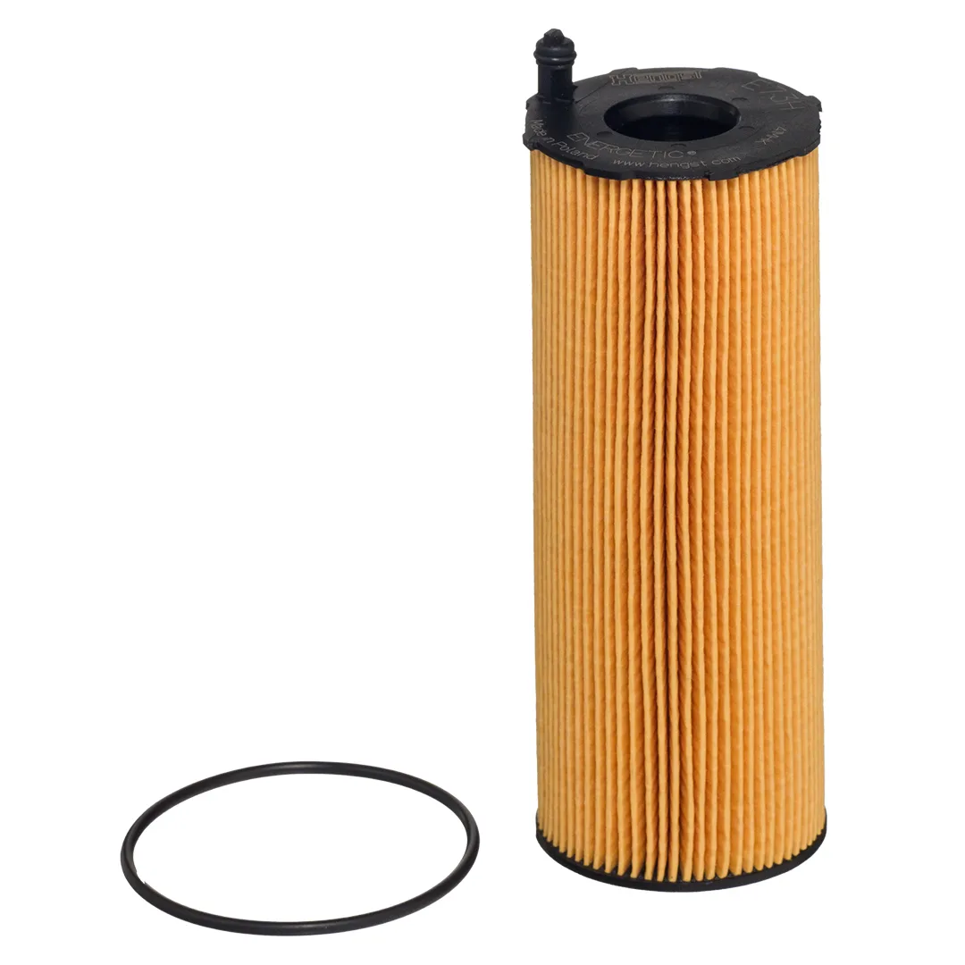 E73HD207 Hengst