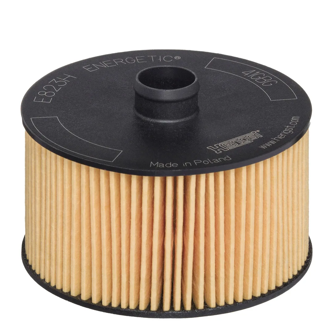 E823HD263 Hengst