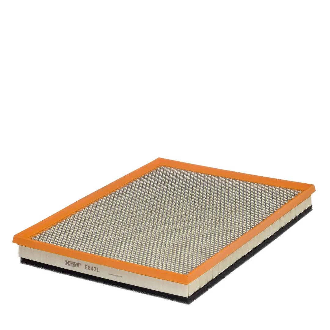 E843L Hengst