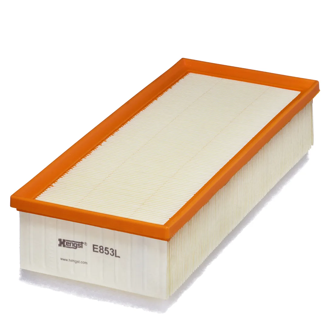 E853L Hengst