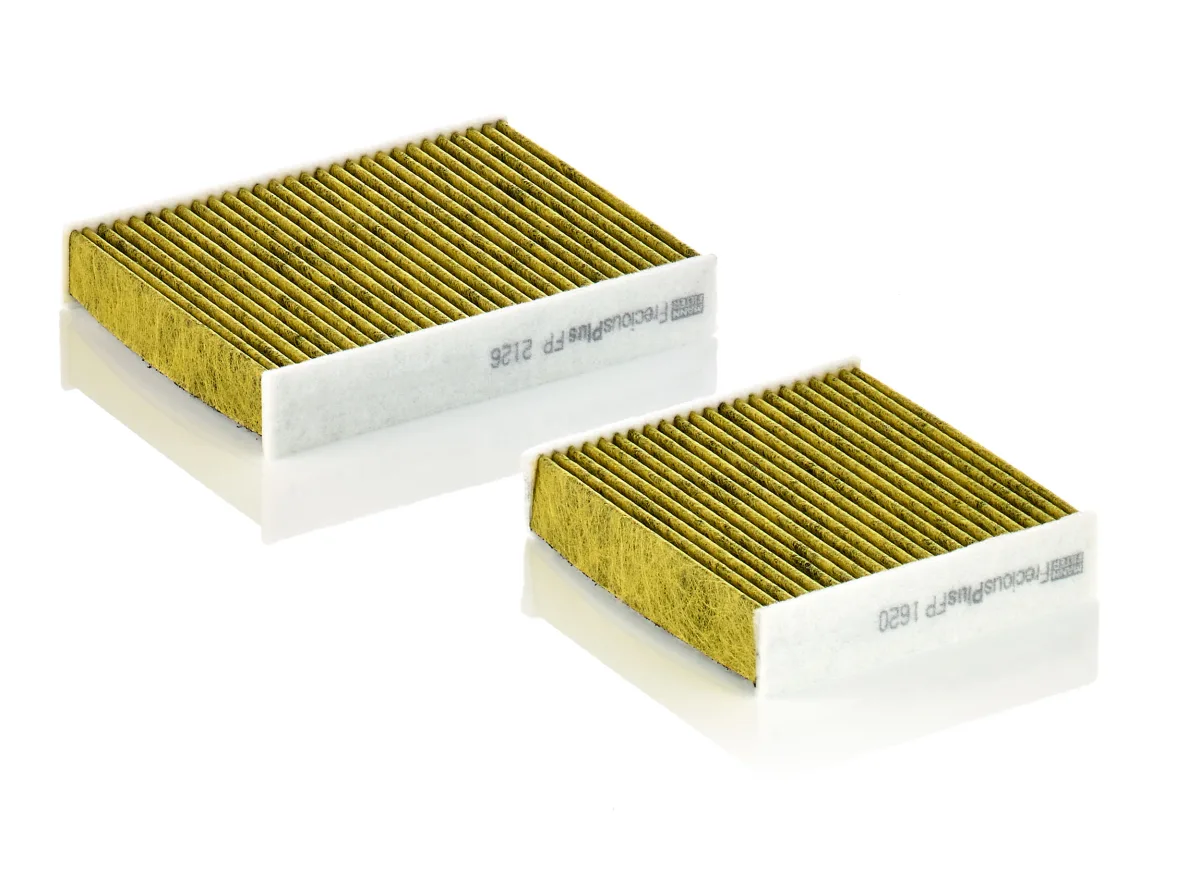 FP21000-2 Mann Filter