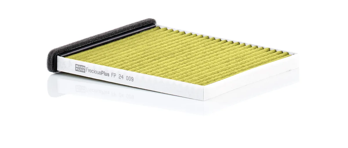FP24009 Mann Filter