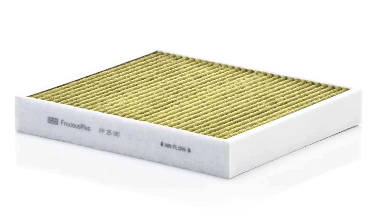 FP26010 Mann Filter