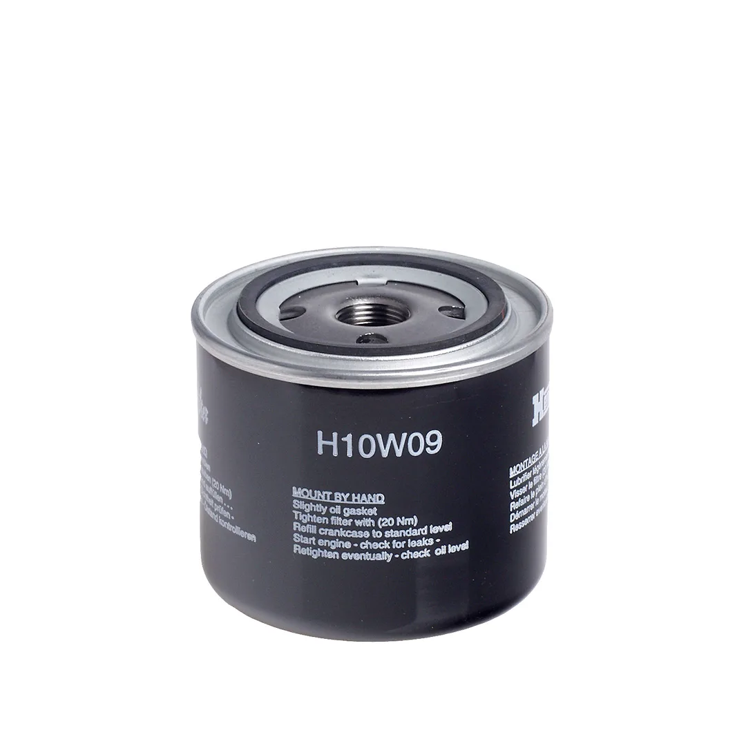 H10W09 Hengst