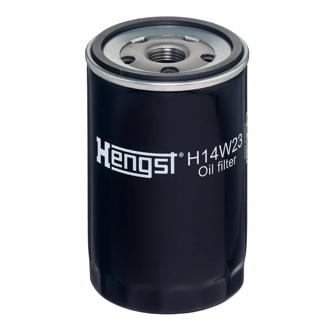 H14W23 Hengst