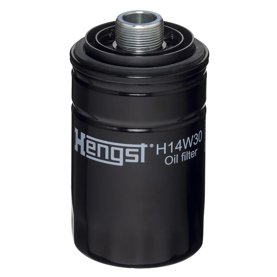 H14W30 Hengst