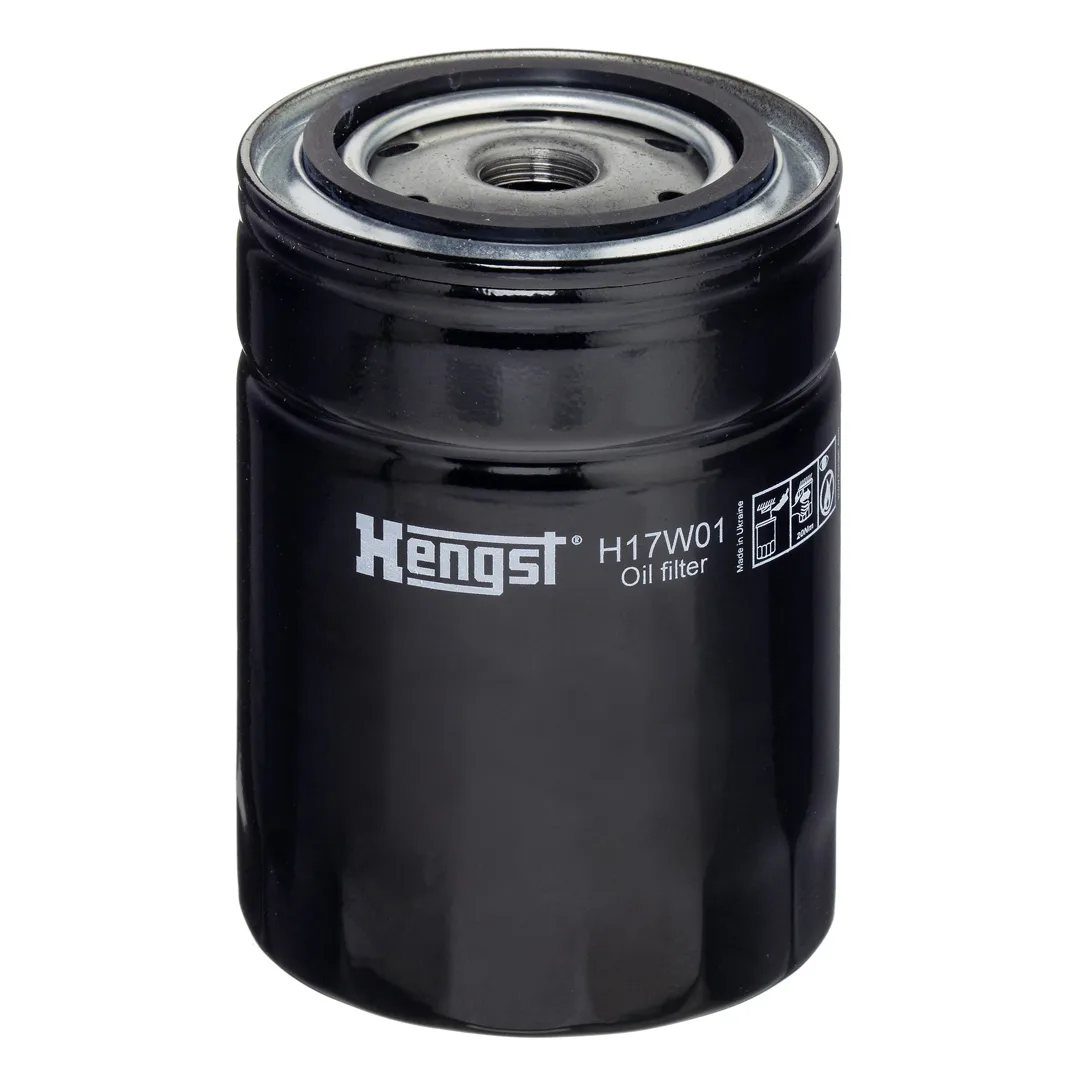H17W01 Hengst