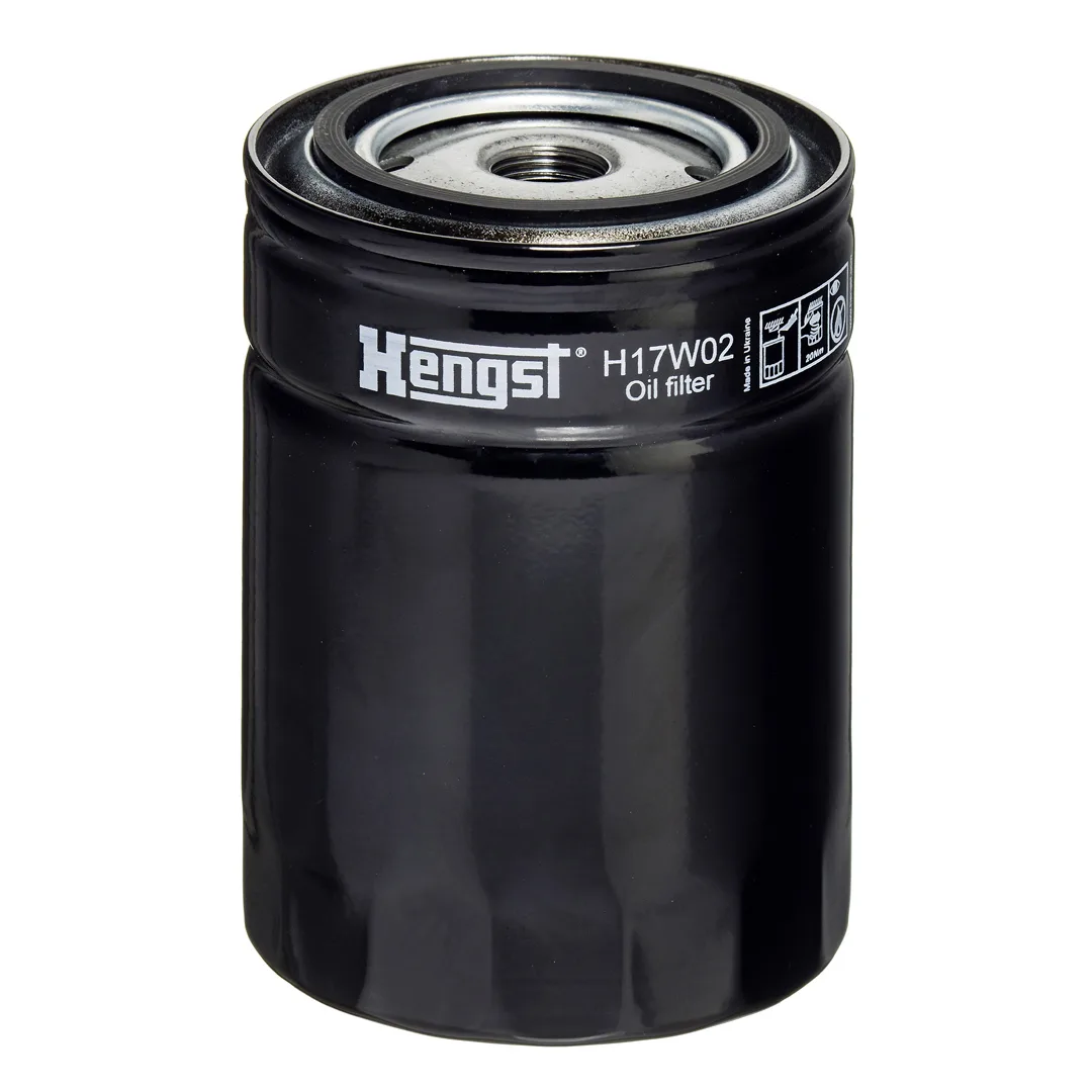 H17W02 Hengst