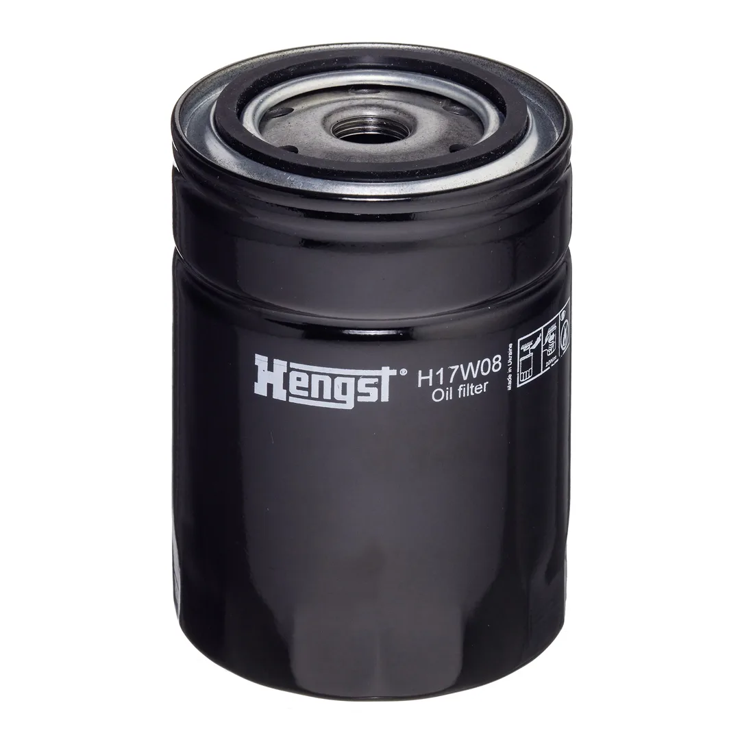 H17W08 Hengst