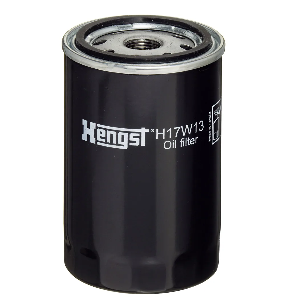 H17W13 Hengst