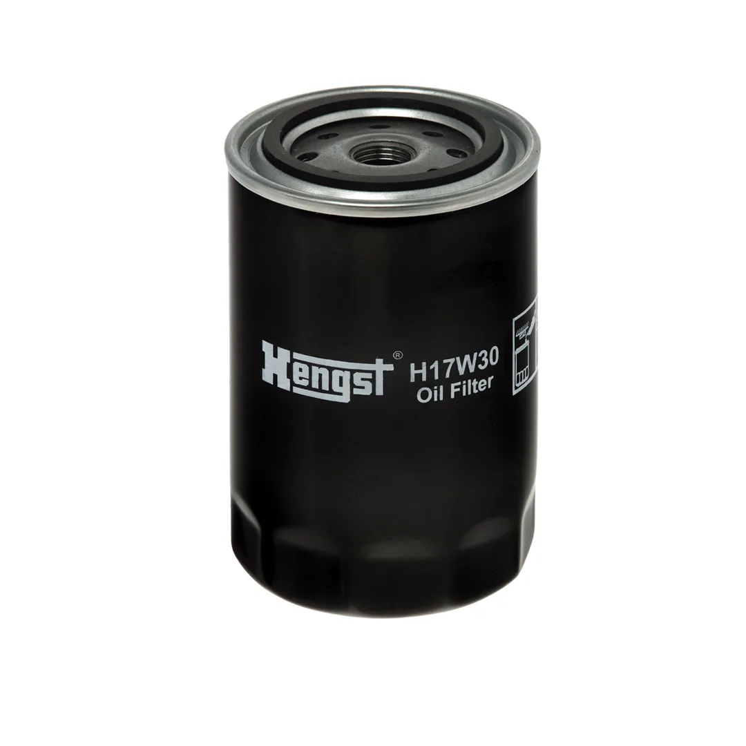 H17W30 Hengst